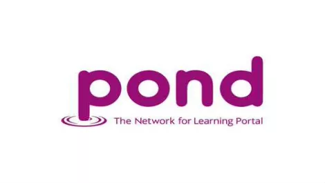 Pond