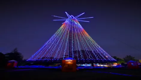 Telecom tree 2009 lr