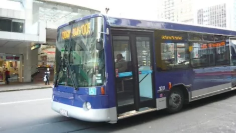 Bus