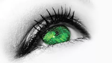 The Eyeball Hunt