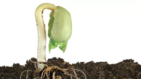 Rootcause