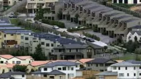 Finance Minister says calls for densification in Auckland as popular as Ebola