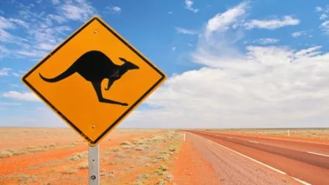 Aussie