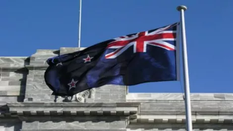 Flag glad bag