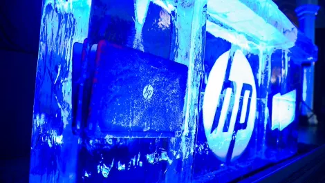 Hp1