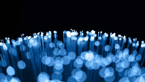 Fibre