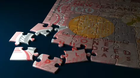 Kiwi company CityInsidr crowdfunding travel app launch