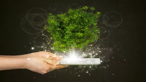Thinkstockphotos 505654271