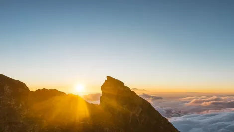 Rise & shine: Indonesia wakes to dawn of the DX economy