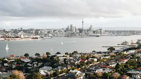 Auckland house prices down on last year